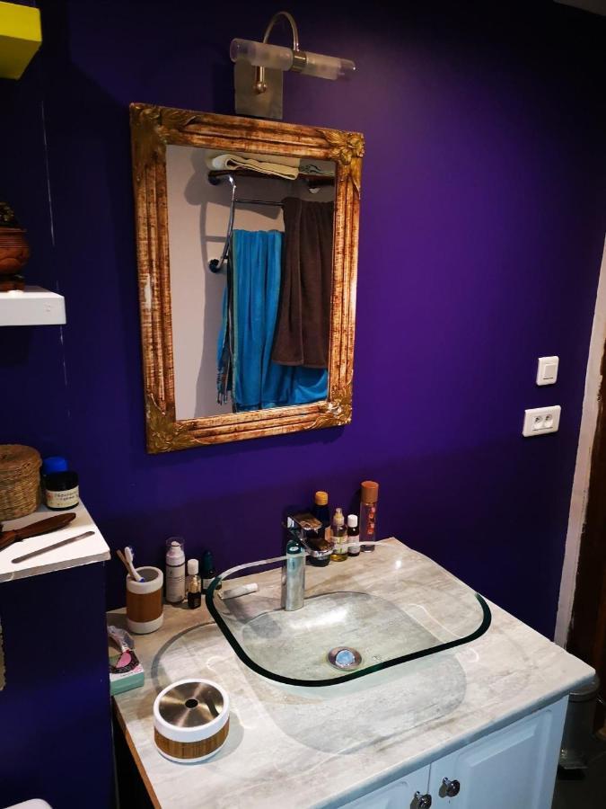 Maison Atypique A Cordes-Sur-Ciel 2 Chambres エクステリア 写真